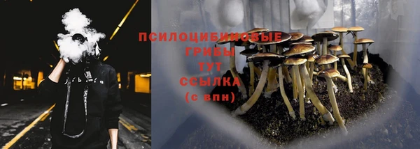 трава Абинск