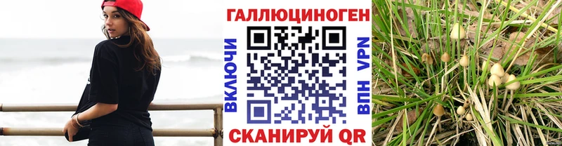 Галлюциногенные грибы MAGIC MUSHROOMS  Заводоуковск 