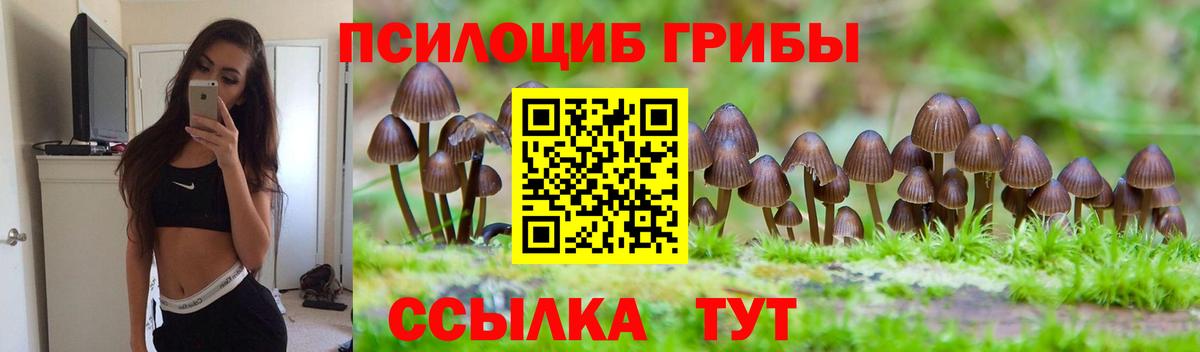 Псилоцибиновые грибы ЛСД  Вход с VPN  Заводоуковск 