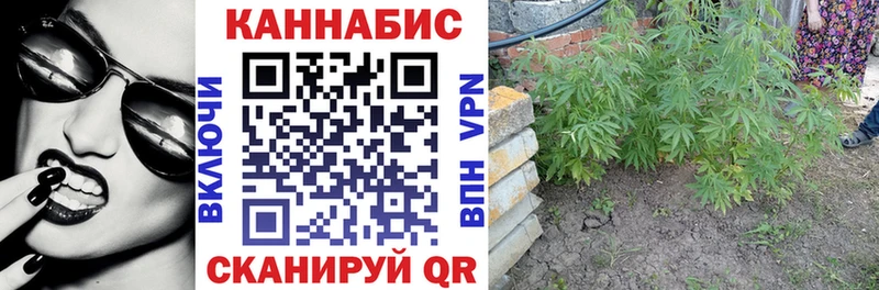 МАРИХУАНА тримм  MEGA ТОР  Заводоуковск 
