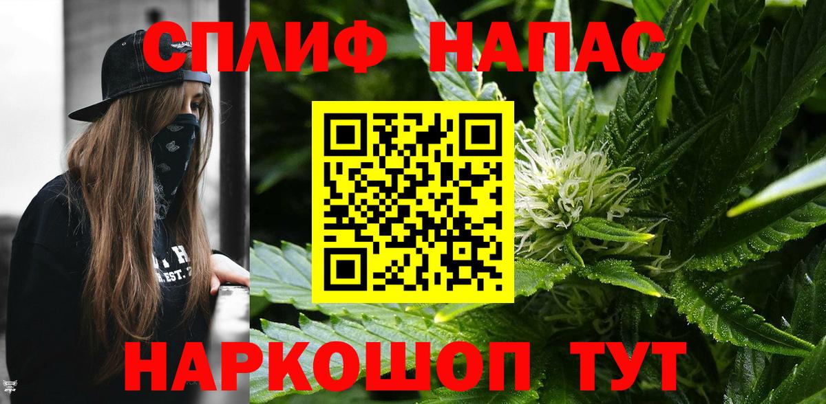 Конопля Amnesia  Вход с VPN  Бошки Шишки план  Бошки марихуана ГИДРОПОН  Бошки Шишки планчик  Заводоуковск 